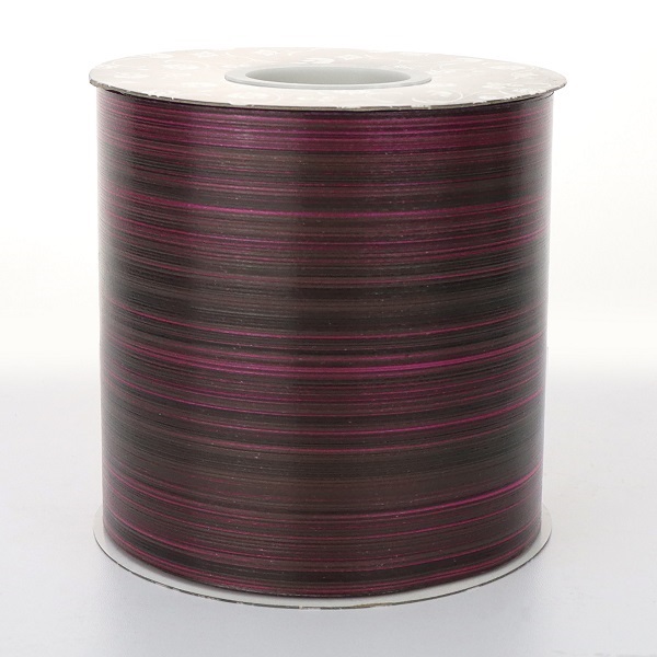 01-ASPIDISTRA-LE-BURGUNDY