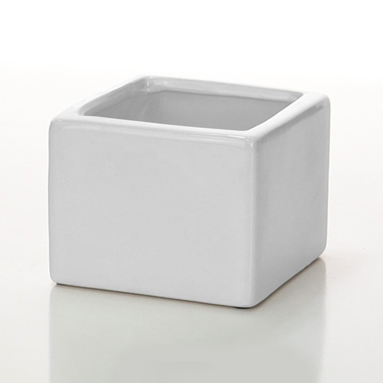 03-SQ4-WHI